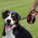 Рулетка KONG Explore для собак (весом до 50 кг), размер L, лента 7,5 метров, красная