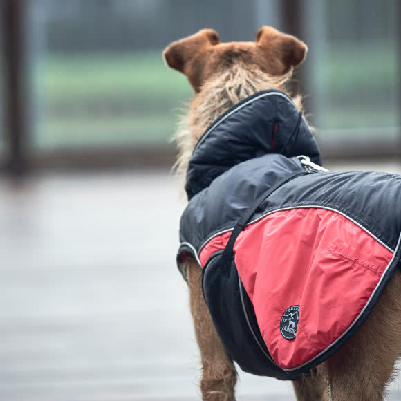 Hunter пальто для собак Uppsala Allrounder 60 (шея:58-70 / грудина:81-100см), полиэстер, антрацит / красный Hunter пальто для собак Uppsala Allrounder 60 (шея:58-70 / грудина:81-100см), полиэстер, антрацит / красный