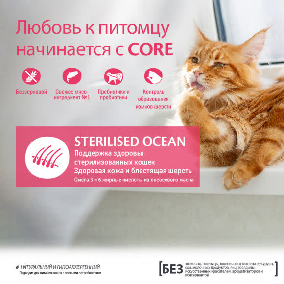 CORE корм из лосося для стерилизованных кошек и кастрированных котов 300 г CORE корм из лосося для стерилизованных кошек и кастрированных котов 300 г