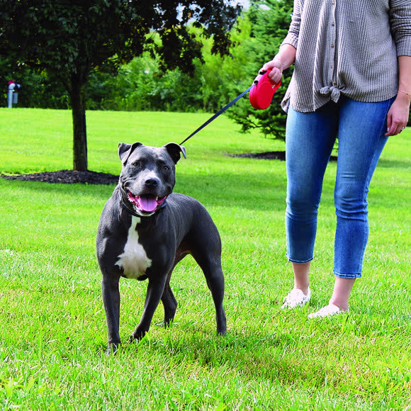 Рулетка KONG Trail для собак (весом до 20 кг), размер S, лента 5 метров, красная Рулетка KONG Trail для собак (весом до 20 кг), размер S, лента 5 метров, красная