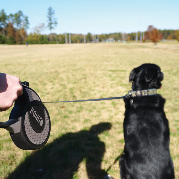 Рулетка KONG Ultimate для собак (весом до 70 кг), размер XL, лента 5 метров, серая Рулетка KONG Ultimate для собак (весом до 70 кг), размер XL, лента 5 метров, серая