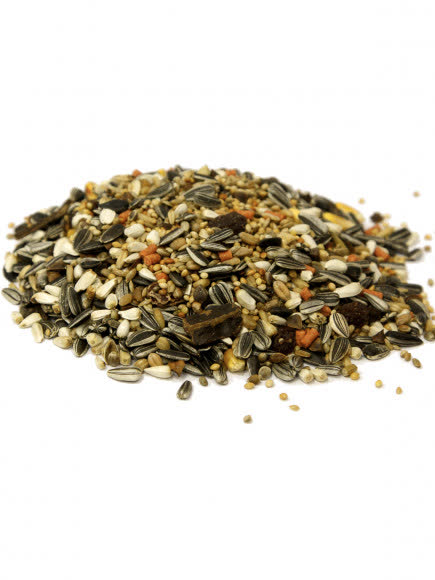 FIORY корм для средних попугаев Parrocchetti African 800 г