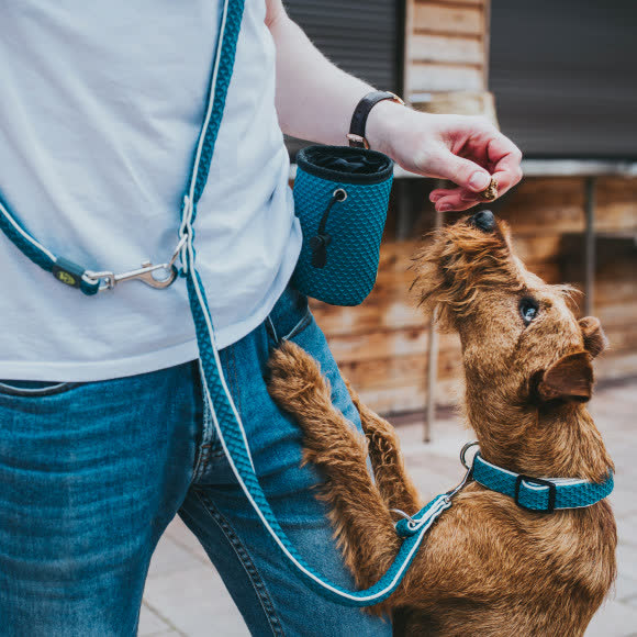 Hunter сумочка для лакомств Hilo Basic 24х13х10h, бирюзовая Hunter сумочка для лакомств Hilo Basic 24х13х10h, бирюзовая