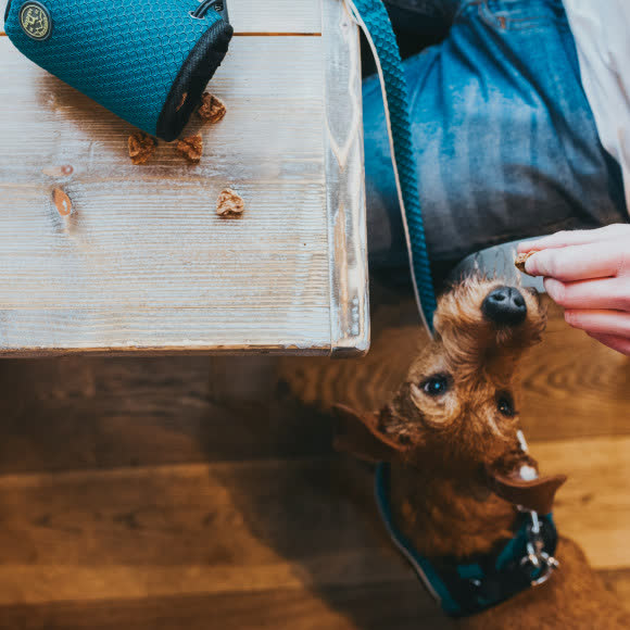 Hunter сумочка для лакомств Hilo Basic 24х13х10h, бирюзовая Hunter сумочка для лакомств Hilo Basic 24х13х10h, бирюзовая