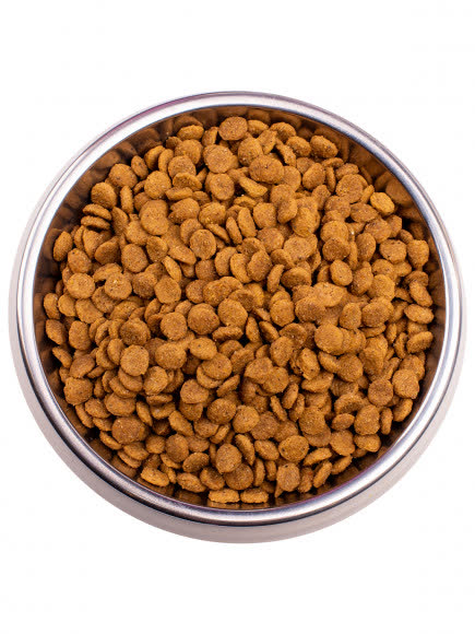 Gemon Cat корм для взрослых кошек с курицей и индейкой 1,5 кг Gemon Cat корм для взрослых кошек с курицей и индейкой 1,5 кг