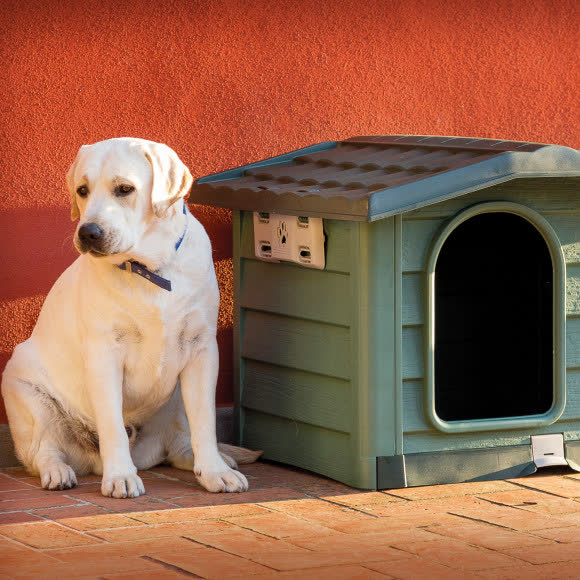 BAMA PET будка для собак BUNGALOW M 89х75х62h см, пластик, зеленая