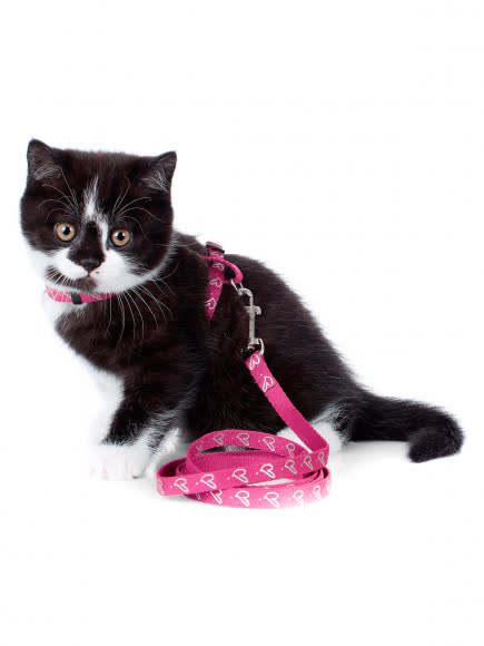 Hunter шлейка для кошек и собак by Laura нейлон розовая