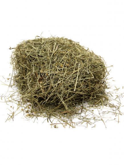 FIORY сено Альпийское Alpiland Camomile с ромашкой 500 г