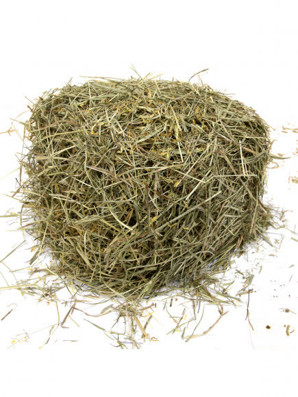 FIORY сено Альпийское Alpiland Yellow с одуванчиком 500 г