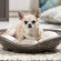 BAMA PET лежанка с подушкой PASHA 48х46х11h см, коричневый