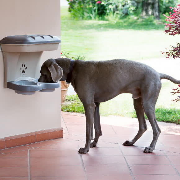 BAMA PET миска для собак настенная двойная 1600 мл 48х27х42h см, бежевая BAMA PET миска для собак настенная двойная 1600 мл 48х27х42h см, бежевая