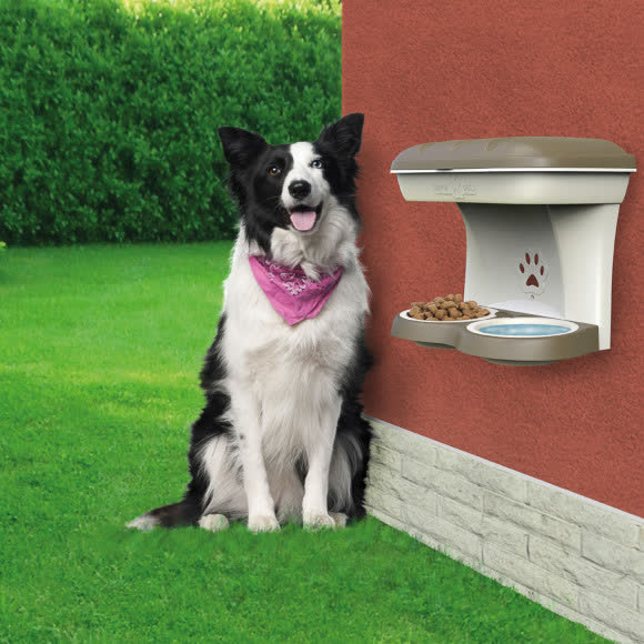 BAMA PET миска для собак настенная двойная 1600 мл 48х27х42h см, бежевая BAMA PET миска для собак настенная двойная 1600 мл 48х27х42h см, бежевая