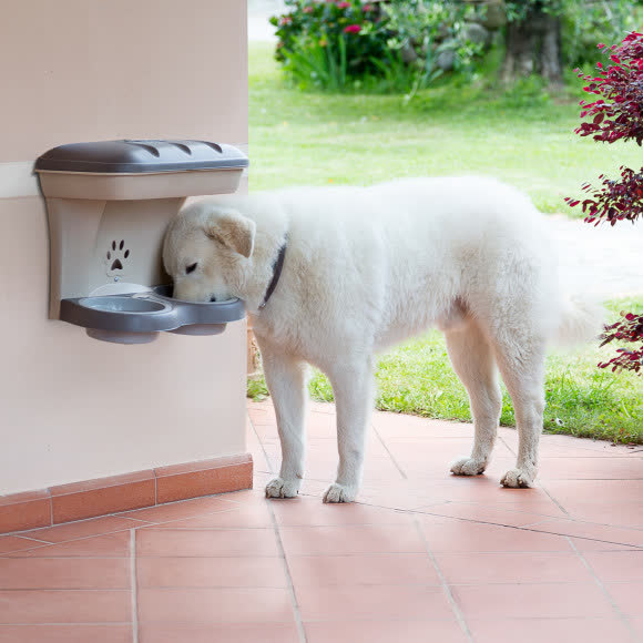 BAMA PET миска для собак настенная двойная MAXI 2200 мл 50х29х52h см, бежевая BAMA PET миска для собак настенная двойная MAXI 2200 мл 50х29х52h см, бежевая