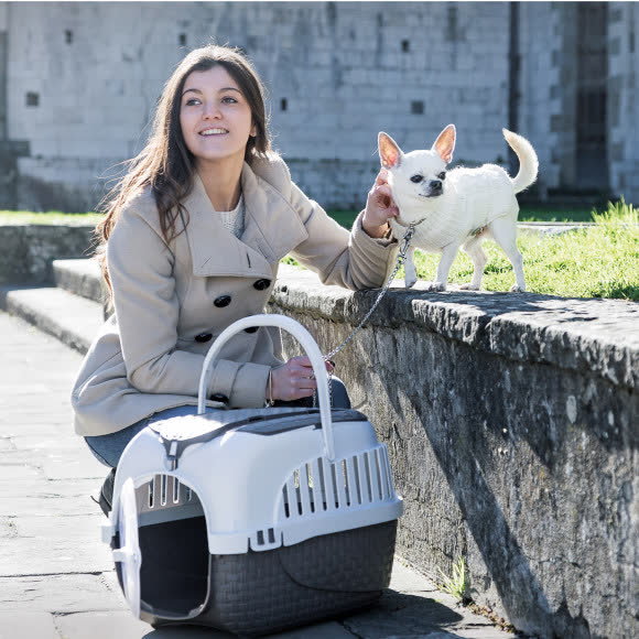 BAMA PET переноска KENNEL TOUR MAXI 59х38х37h см до 12 кг, коричневая BAMA PET переноска KENNEL TOUR MAXI 59х38х37h см до 12 кг, коричневая