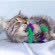 Petstages игрушка для кошек Dental "Капуста" с кошачьей мятой, 20 см