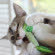 Petstages игрушка для кошек Dental "Мятный листик" 11 см