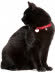 Hunter Smart ошейник для кошек Glossy Dots красный в горошек