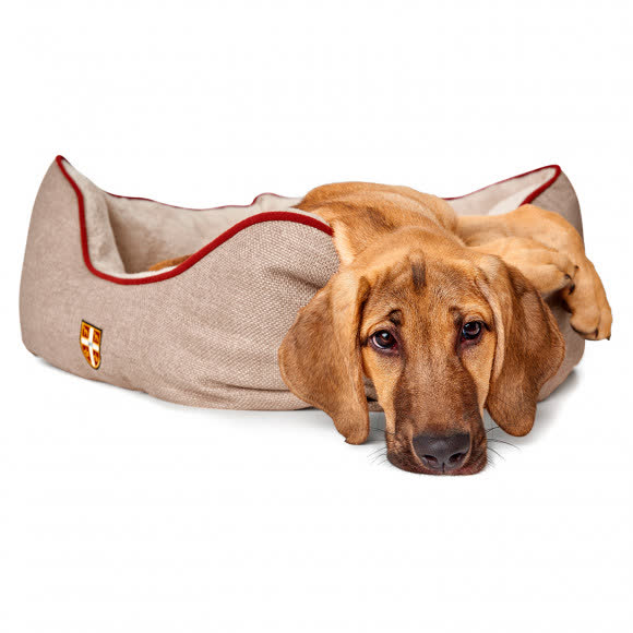 Hunter Лежанка для собак University S 40х60x20 см бежевая