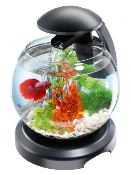 Tetra Cascade Globe аквариумный комплекс черный 6,8 л