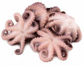 Осьминоги свежемороженые 1-1,5, кг Осьминоги свежемороженые 1-1,5, кг