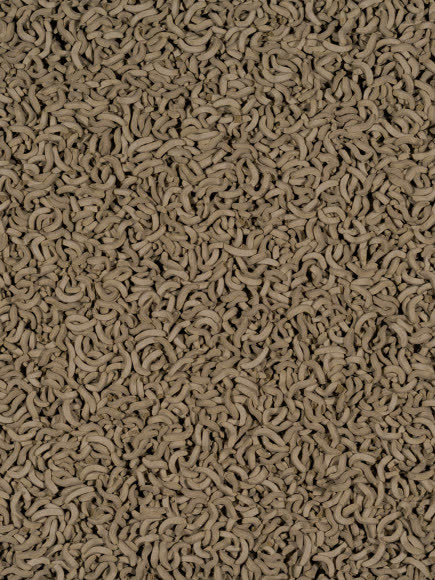 Tetra ReptoMin корм в виде палочек для водных черепах 100 мл Tetra ReptoMin корм в виде палочек для водных черепах 100 мл