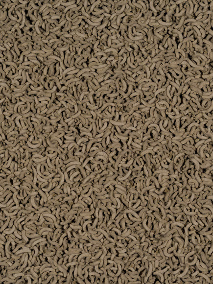 Tetra ReptoMin корм в виде палочек для водных черепах 250 мл Tetra ReptoMin корм в виде палочек для водных черепах 250 мл