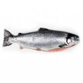 Лосось семга охлажденная фарерская 6/7, кг