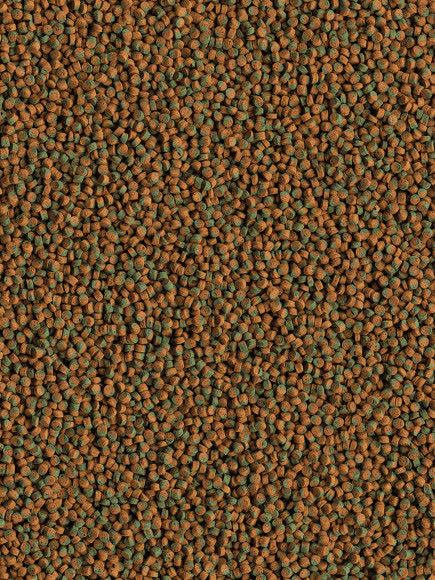 TetraCichlid Algae Mini корм для всех видов цихлид 500 мл TetraCichlid Algae Mini корм для всех видов цихлид 500 мл