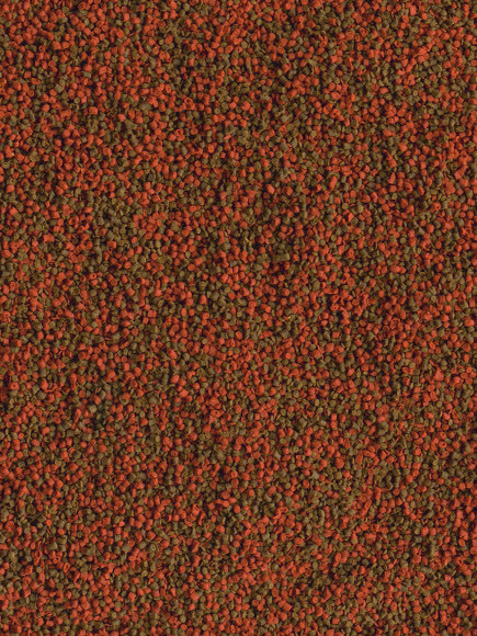 TetraCichlid Granules корм для всех видов цихлид в гранулах 500 мл TetraCichlid Granules корм для всех видов цихлид в гранулах 500 мл