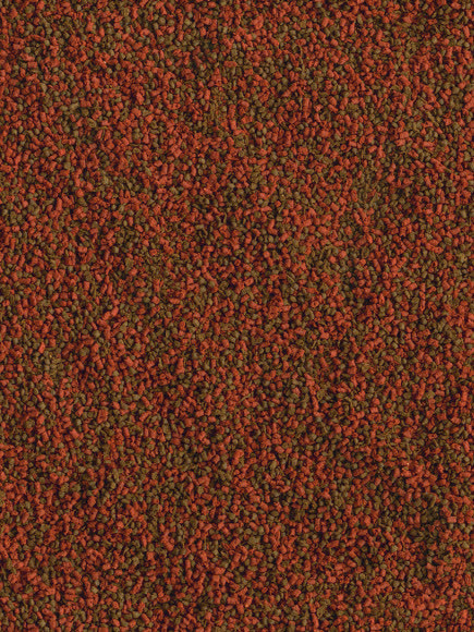 TetraCichlid Mini Granules корм для небольших цихлид в гранулах 250 мл TetraCichlid Mini Granules корм для небольших цихлид в гранулах 250 мл