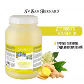 ISB Fruit of the Groomer Ginger&Elderbery Восстанавливающая маска с противовоспалительным эффектом 3 л ISB Fruit of the Groomer Ginger&Elderbery Восстанавливающая маска с противовоспалительным эффектом 3 л