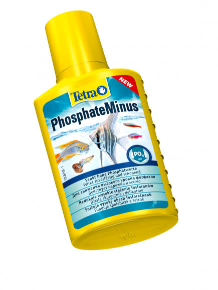 Tetra PhosphateMinus жидкое средство для снижения концентрации фосфатов 100 мл Tetra PhosphateMinus жидкое средство для снижения концентрации фосфатов 100 мл
