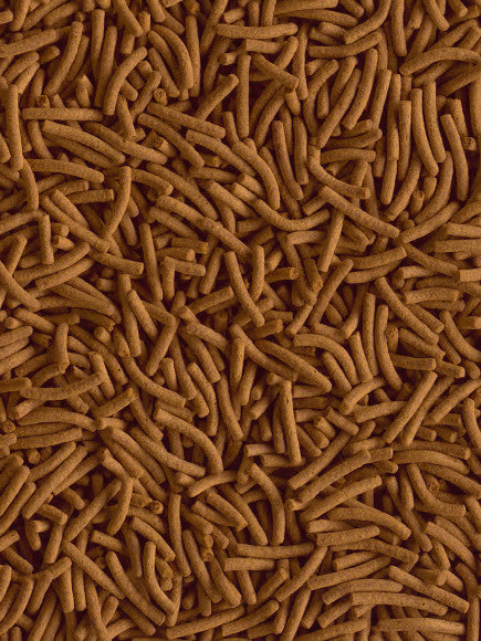 TetraCichlid XL Sticks корм для всех видов цихлид, палочки 500 мл TetraCichlid XL Sticks корм для всех видов цихлид, палочки 500 мл