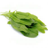 Щавель, кг Щавель, кг