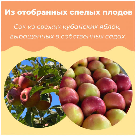 Сок яблочный прямого отжима без сахара.  1 литр, крышка (упаковка 12 штук)