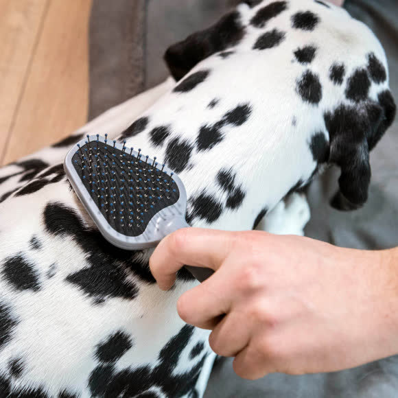 Щетка FURminator двухсторонняя Dual Brush зубцы 12 мм Щетка FURminator двухсторонняя Dual Brush зубцы 12 мм