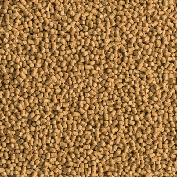 Tetra Pond Sticks Mini корм для мелких прудовых рыб мини-палочки 1 л Tetra Pond Sticks Mini корм для мелких прудовых рыб мини-палочки 1 л