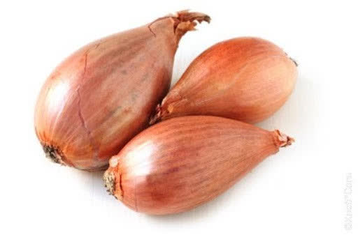 Лук Шалот, 5 кг