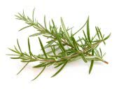 Розмарин, кг Розмарин, кг