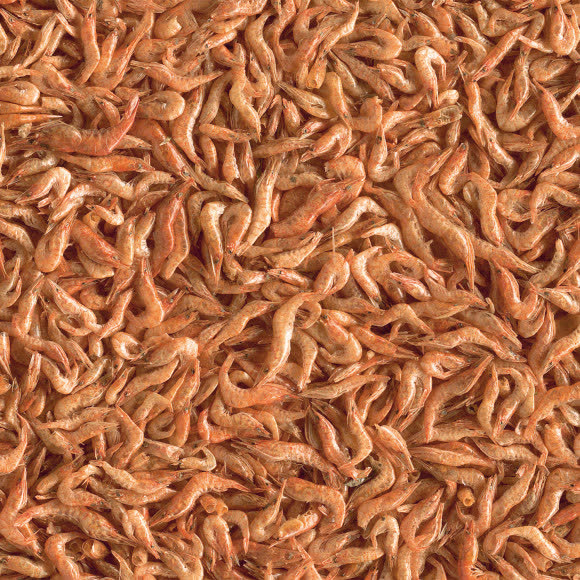 Tetra Repto Delica Shrimps креветки лакомство для водных черепах 250 мл Tetra Repto Delica Shrimps креветки лакомство для водных черепах 250 мл