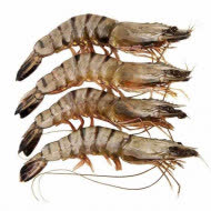 Креветки тигровые черные с/м с/г 16/20 Бангладеш 1кг