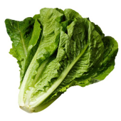 Салат Романо, 5 кг Салат Романо, 5 кг