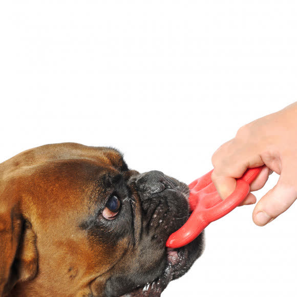 BAMA PET игрушка для собак ORMA 15см, резина, цвета в ассортименте