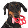 BAMA PET игрушка для собак ORMA 15см, резина, цвета в ассортименте