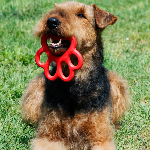 BAMA PET игрушка для собак ORMA 15см, резина, цвета в ассортименте