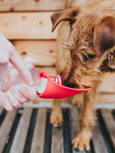 Hunter бутылка для воды List 550 мл, красная Hunter бутылка для воды List 550 мл, красная