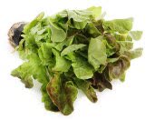 Салат Дуболист красный, кг Салат Дуболист красный, кг