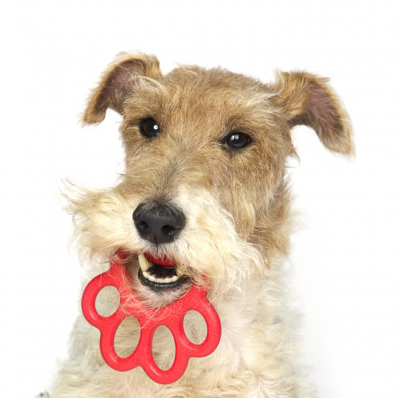 BAMA PET игрушка для собак ORMA MINI 8см, резина, цвета в ассортименте