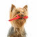 BAMA PET игрушка для собак палочка TUTTO MIO 16см, резиновая, цвета в ассортименте