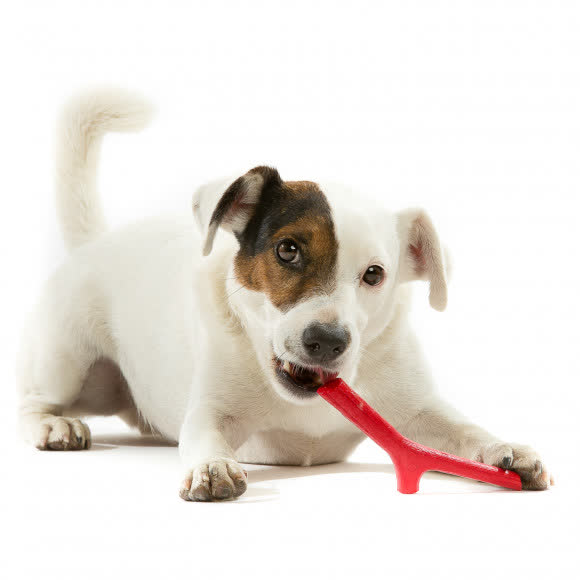 BAMA PET игрушка для собак палочка TUTTO MIO 16см, резиновая, цвета в ассортименте